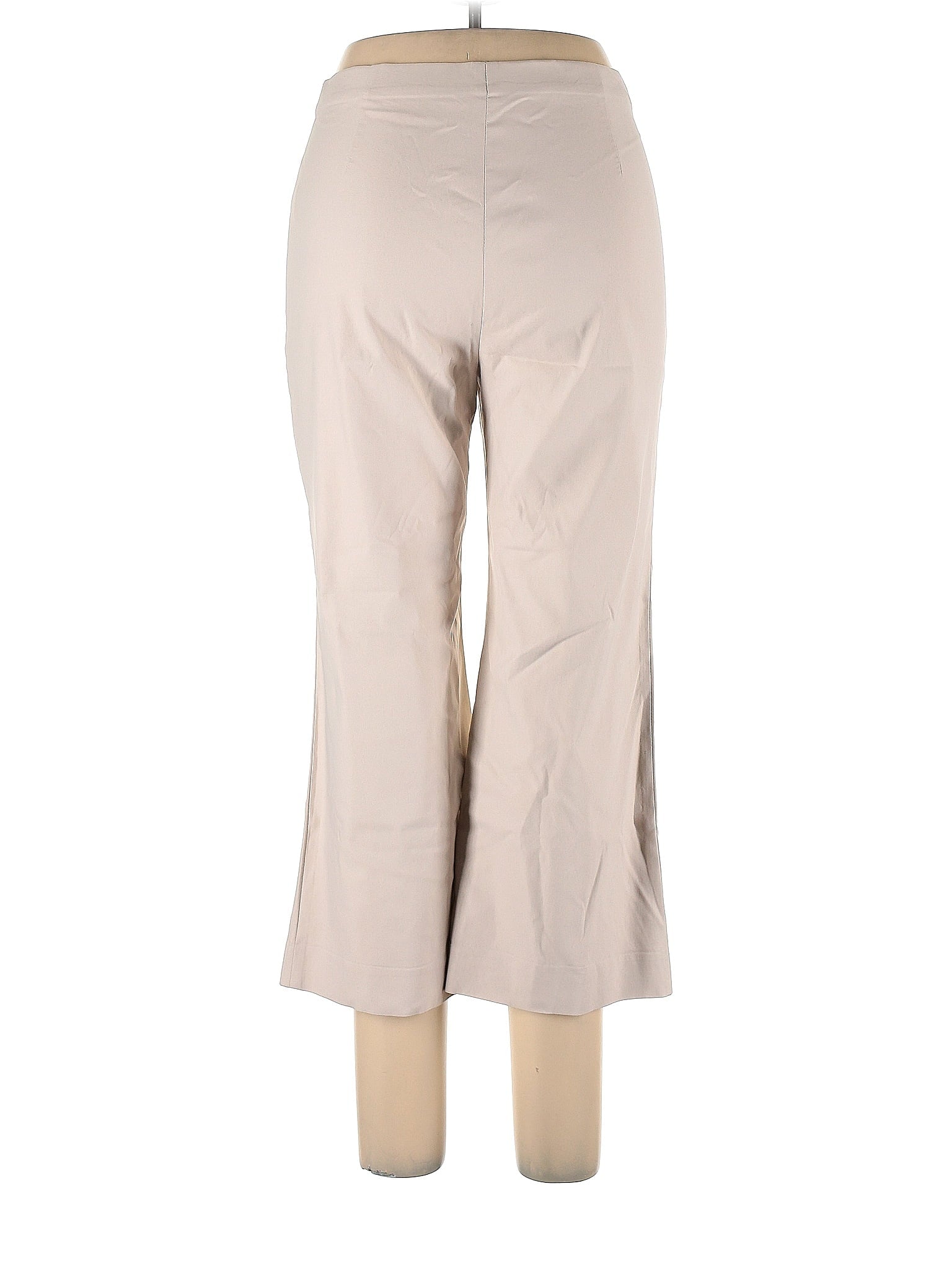 Dress Pants size - 10 P